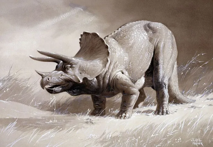 Framed Print : Triceratops Print: Upper Cretaceous Era Dinosaur Framed Print : Triceratops Print: Upper Cretaceous Era Dinosaur