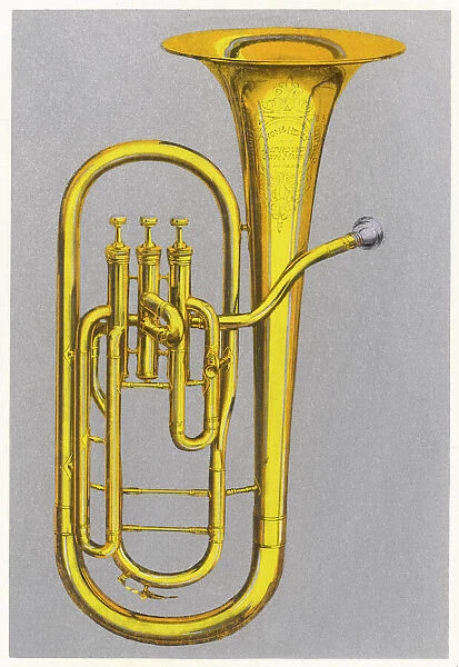 Tuba Colour Illustration
