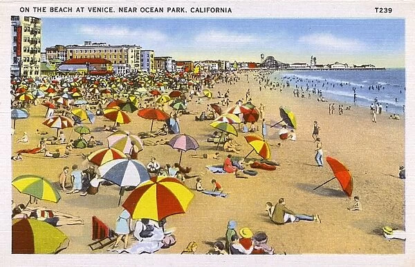 Venice Beach, near Ocean Park, Los Angeles, USA