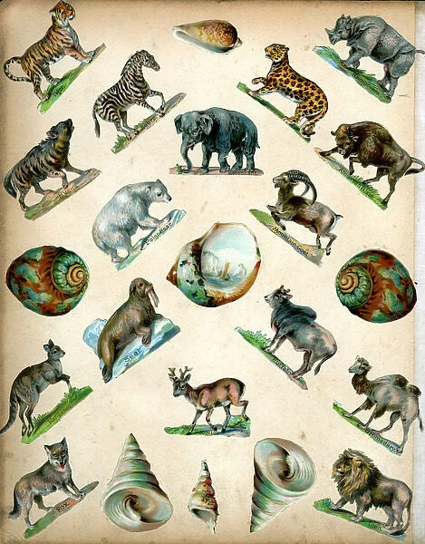 Victorian Scraps - Page of Animals