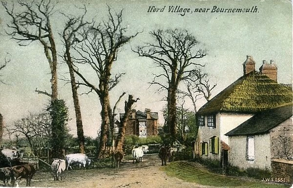 The Village, Iford, Dorset