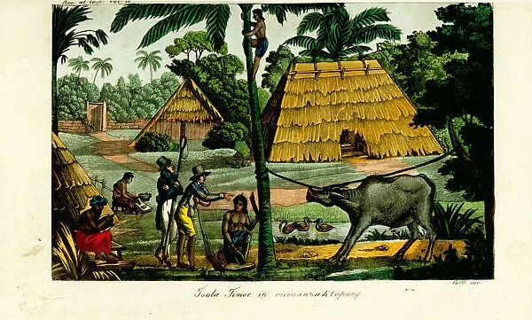 Village scene near Kupang, Timor, 19th century