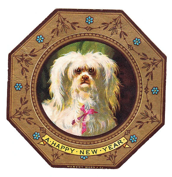 White dog on plate design on a New Year card