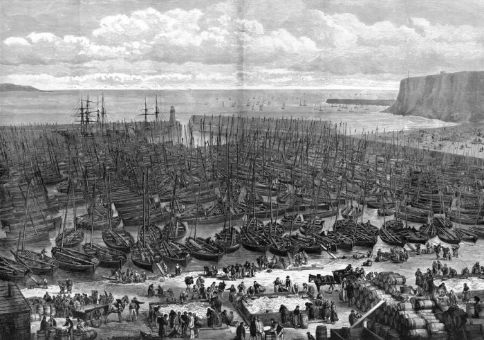 Framed Print : Wick Harbour Herring Fishing Print, 1875 Framed Print : Wick Harbour Herring Fishing Print, 1875