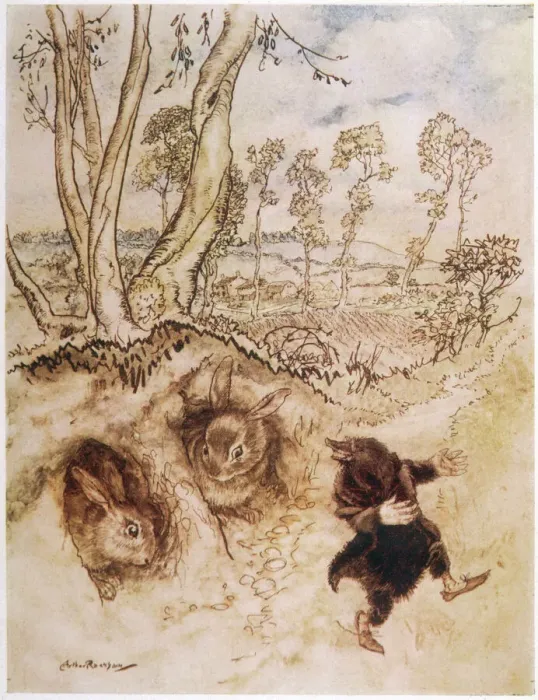 Framed Print : Print of Wind in the Willows with Onion Sauce illustration Framed Print : Print of Wind in the Willows with Onion Sauce illustration