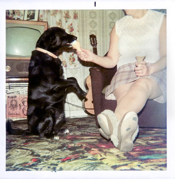 Woman feeding a dog ice cream in 1970s living room