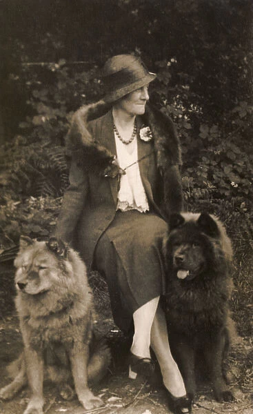 Woman with two Samoyed dogs