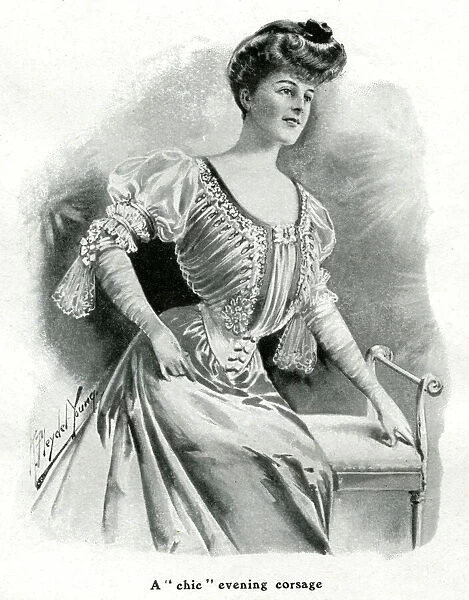Womens evening corsage 1905