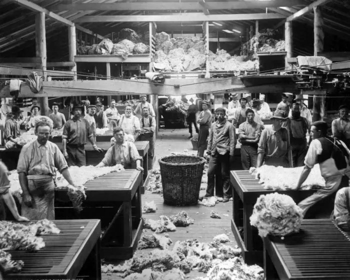 Framed Print : Wool Sorting and Classing Print, Burrawang, NSW circa 1890s Framed Print : Wool Sorting and Classing Print, Burrawang, NSW circa 1890s
