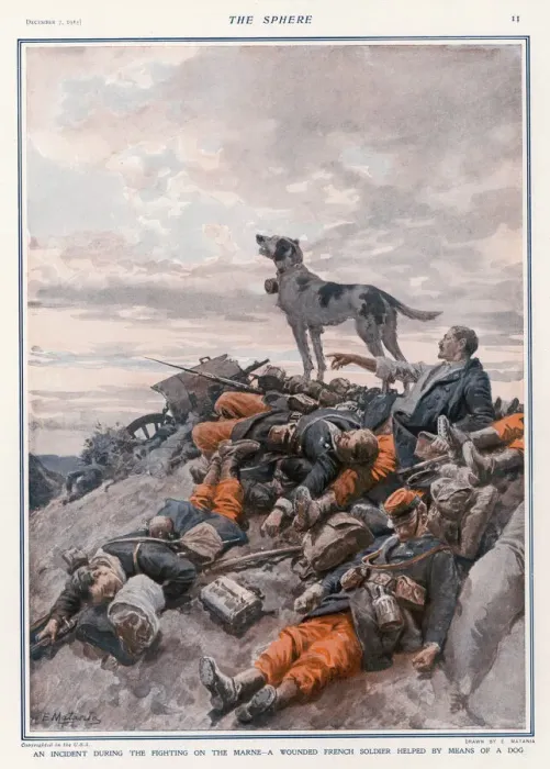 Framed Print : Print of Wounded Soldier Saved by Regimental Dog at the Battle of the Marne Framed Print : Print of Wounded Soldier Saved by Regimental Dog at the Battle of the Marne