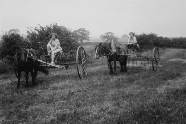 WW2 - Haymaking with horses at Stevington