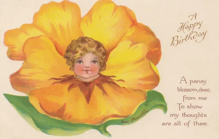 Framed Print : Yellow Flower Faces Print circa 1908 Framed Print : Yellow Flower Faces Print circa 1908