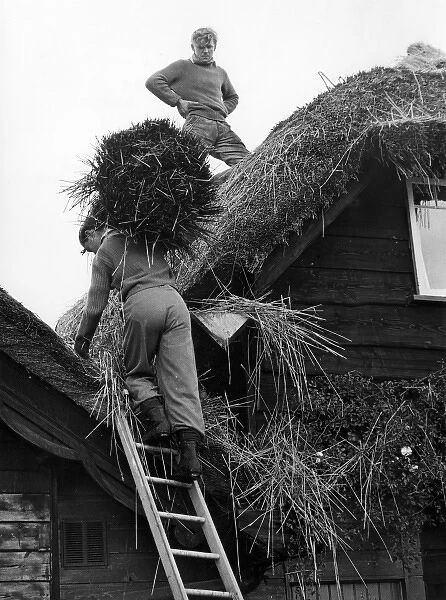 Two young men thatching a cottage