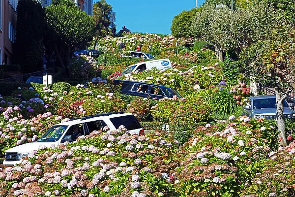 13132528. Lombard Street, the crookedest street in the workd in San Franciso