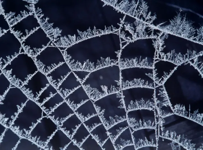 Framed Print : Frost on Spider's Web Print, AL-2932