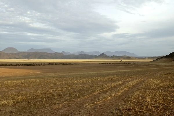 Africa Damaraland. near Khorixas, Namibia
