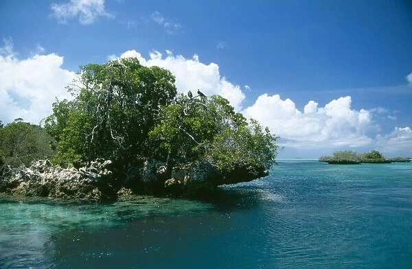 Aldabra WAT 5892 Lagoon, Indian Ocean. © M. Watson  /  ardea. com