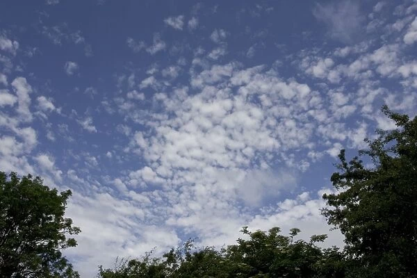Altocumulus clouds in blue sky, Cotswolds UK