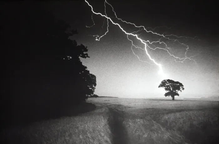 Framed Print : Lightning Striking a Tree Print Framed Print : Lightning Striking a Tree Print
