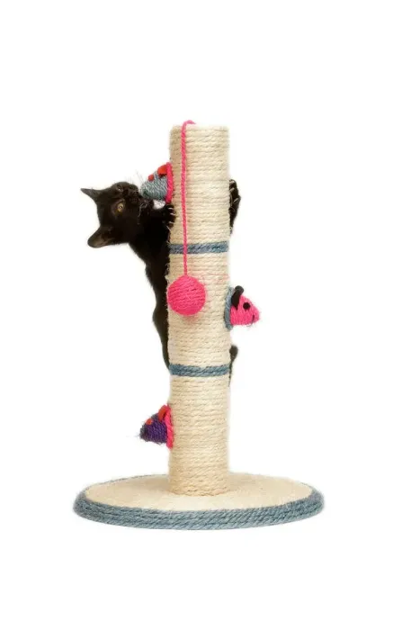 Framed Print : Black Kitten on Activity Play Centre Print Framed Print : Black Kitten on Activity Play Centre Print