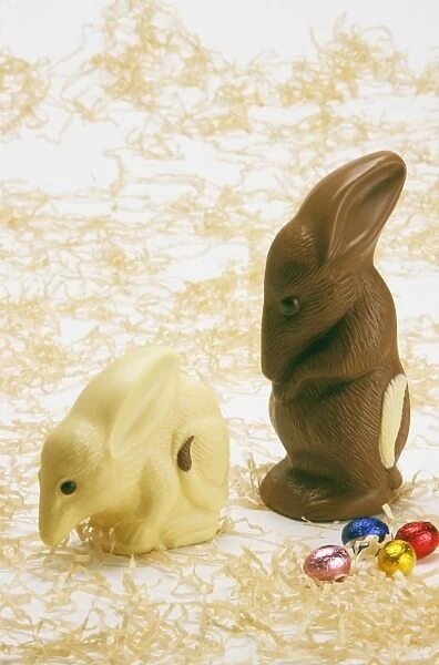 Chocolate Bilby - Australia's version of the Easter bunny JLR07153