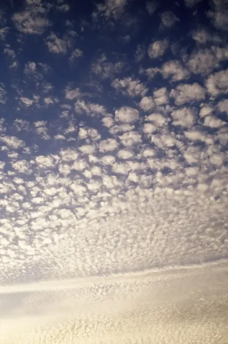 Framed Print : Cirrocumulus Clouds - Mackerel Sky Print Framed Print : Cirrocumulus Clouds - Mackerel Sky Print