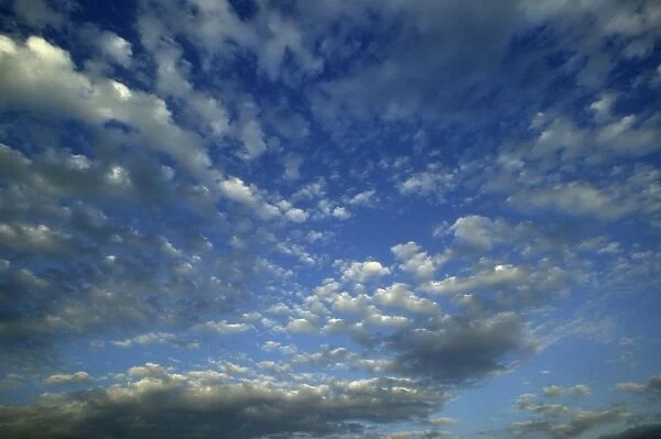 Clouds - cirrocumulus