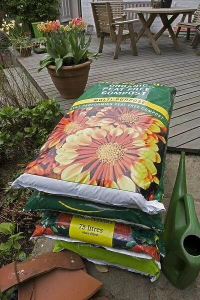 Compost - large bags of peat free multipurpose organic compost in garden. Cotswolds - UK