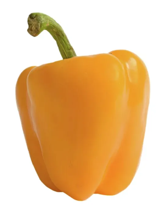 Framed Print : Pepper - Orange Print, LA-5052 Framed Print : Pepper - Orange Print, LA-5052