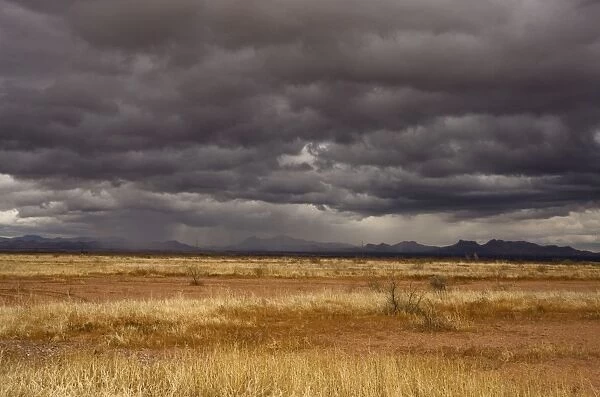Grasslands and mountains near Douglas on the Arizona - Mexico border on a stormy winter evening, USA