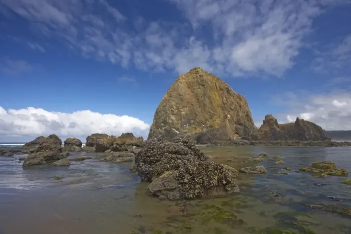 Framed Print : Haystack Rock Print at Low Tide Framed Print : Haystack Rock Print at Low Tide