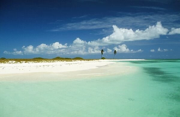Los Roques - Dos Mosquises Island, beach & palm trees. Archipelago of Venezuela Marine National Park, Caribbean Sea