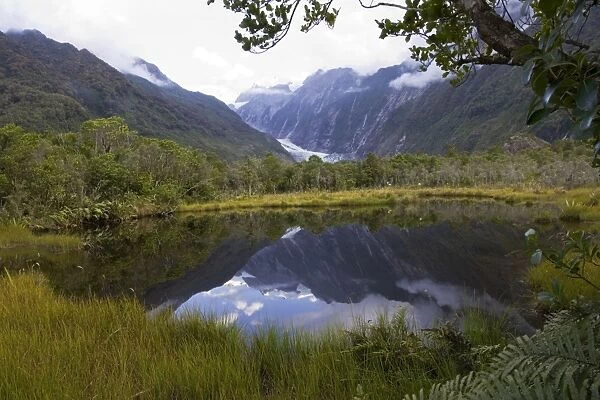 New Zealand - Franz Josef glacier reflected in Peter's Pool. Westland National Park - South Island - New Zealand