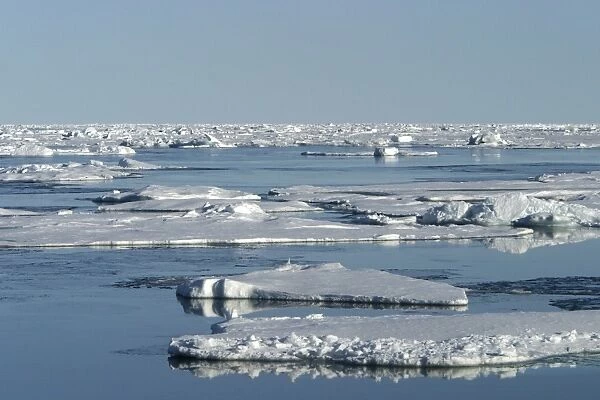 Pack Ice - ice floes. Spitzbergen, north Svalbard