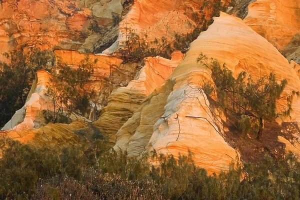 The Pinnacles - coloured sands and sandstone cliffs at sunrise - Fraser Island World Heritage Area, Great Sandy National Park, Queensland, Australia