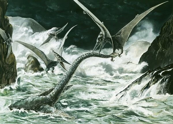 Prehistoric Reconstruction - Pteranodon & Winged Prerosauros (Cretaceous 114 million years ago) fighting with a Elasmosaurus a marine reptile (late Cretaceous) total length 46 ft