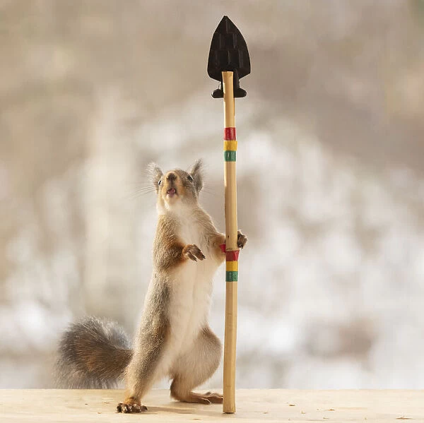 Red squirrel is holding a spear