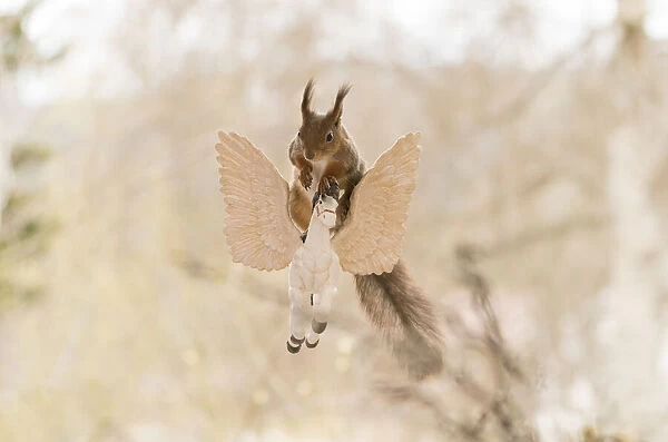 Red Squirrel sitting on a flying horse