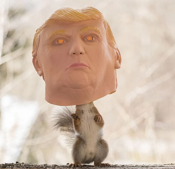 Red Squirrel stand inside a trump mask Date: 24-04-2021