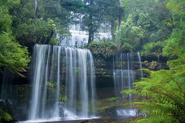 Russell Falls - stunning waterfall amidst lush temperate rainforest. Different kinds of ferns dominate the vegetation around the plunge pool - Mount Field National Park, Tasmania, Australia