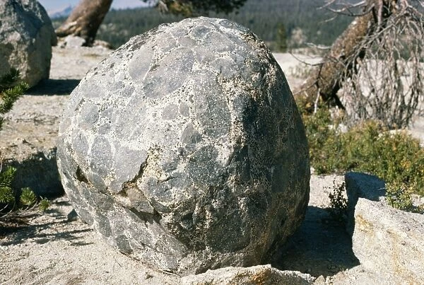 USA Glacial erratic boulder of Conglomerate, Yosemite National Park