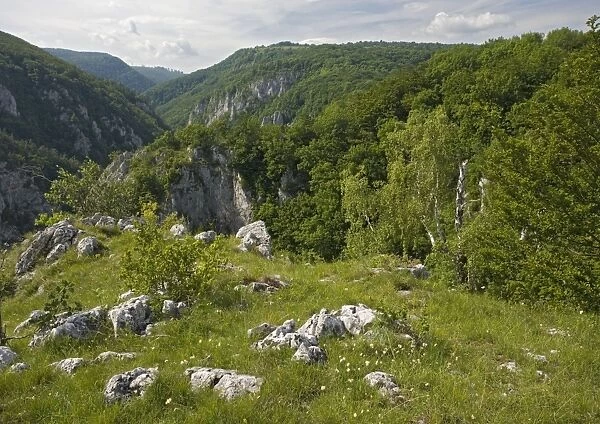 Zadielska gorge, within the Slovensky Kras National Park