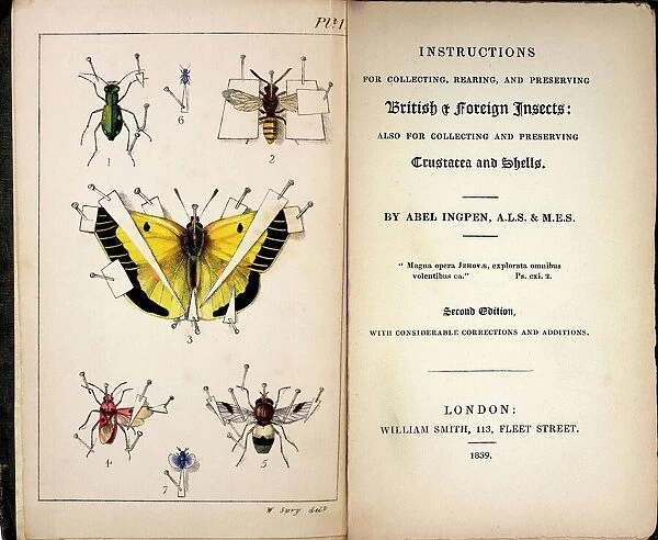 1827, 1839, Collecting British Insects