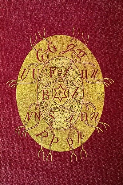 1869 Galton cover for Hereditary Genius