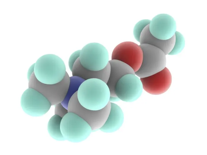 Framed Print : Acetylcholine Molecule Print, a 3D model of organic compound Framed Print : Acetylcholine Molecule Print, a 3D model of organic compound