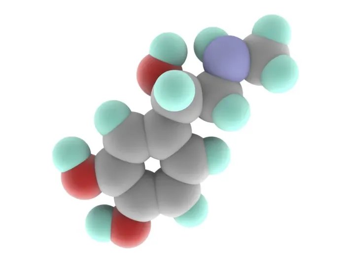 Framed Print : Adrenaline Epinephrine Molecule Print Framed Print : Adrenaline Epinephrine Molecule Print