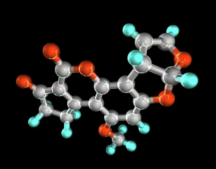 Framed Print : Aflatoxin Molecular Model Print Framed Print : Aflatoxin Molecular Model Print
