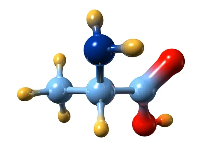 Framed Print : Molecular model of alanine print Framed Print : Molecular model of alanine print