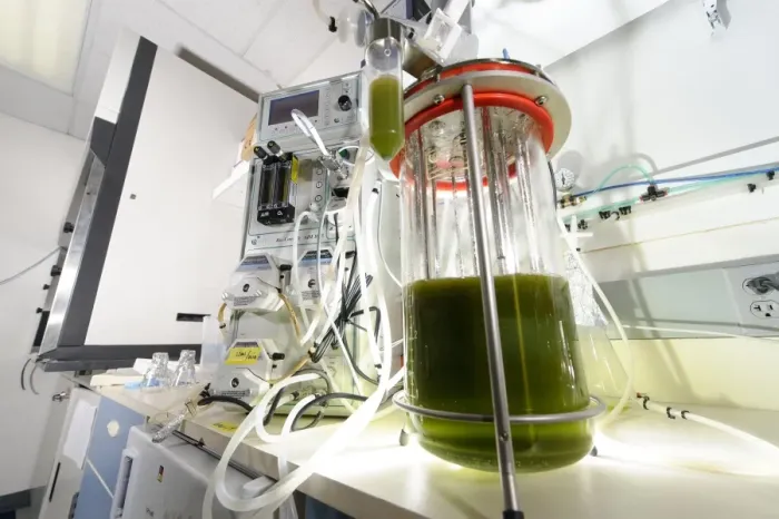 Framed Print : Algae Fermentation Bioreactor Print Framed Print : Algae Fermentation Bioreactor Print