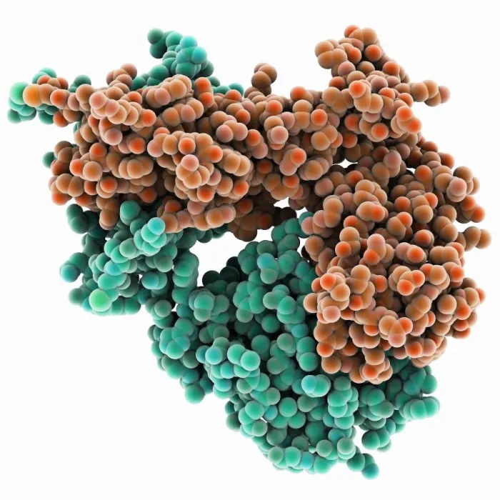 Framed Print : Alpha-beta T-cell receptor Print